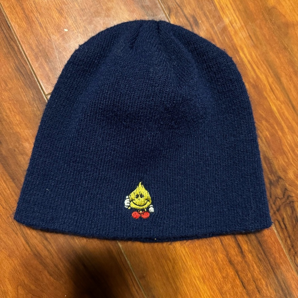 Small World Industries Logo Beanie